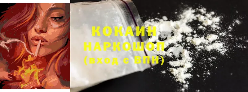 блэк спрут ТОР  Бодайбо  Cocaine Fish Scale 